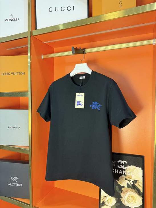 Picture of Burberry T Shirts Short _SKUBurberryXS-Llzytx000419180